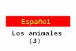 Español Los animales (3) ¿Cómo se pronuncia? ja jo yo llo ño un pájaro un conejo un cobayo un caballo pequeño