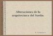 1 Alteraciones de la arquitectura del Sueño. R. Contreras A