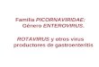 Familia PICORNAVIRIDAE: Género ENTEROVIRUS. ROTAVIRUS y otros virus productores de gastroenteritis
