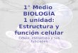 1° Medio BIOLOGÍA 1 unidad: Estructura y función celular Célula, estructura y sus funciones