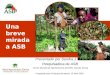 Presentado por Sandra J Velarde Pesquisadora de ASB Centro Mundial de Agroforesteria (ICRAF), Nairobi, Kenya Preparado para Embrapa Rondonia, 13 Abril
