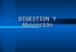 DIGESTION Y Absorción. DIGESTION Es la partición de las macromoléculas en sus moléculas o subunidades moleculares constituyentes, para su posterior absorción