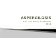 Prof. Luis Ernesto González 2012.  Micosis de animales y seres humanos, causadas por hongos oportunistas del género Aspergillus, en especial A. fumigatus,