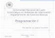 Agosto 2010Programación I - Tipo de Datos1 Programación I Prof. Adjunto: Lic. Jorge O. Scucimarri Universidad Nacional de Luján Licenciatura en Sistemas
