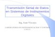 Transmisión Serial de Datos en Sistemas de Instrumentos Digitales Ing. Juan Vizcaya LABORATORIO DE INSTRUMENTACION Y CONTROL U.N.E.T