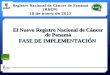 El Nuevo Registro Nacional de Cáncer de Panamá FASE DE IMPLEMENTACIÓN Registro Nacional de Cáncer de Panamá (RNCP) 18 de enero de 2012