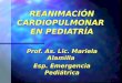 REANIMACIÓN CARDIOPULMONAR EN PEDIATRÍA Prof. As. Lic. Mariela Alamilla Esp. Emergencia Pediátrica