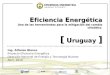 E ficiencia E nergética Una de las herramientas para la mitigación del cambio climático [ U ruguay ] Ing. Alfonso Blanco Proyecto Eficiencia Energética