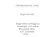 Gabriela Ramírez Trujillo Virgilio Murillo Liceo mixto la milagrosa Tecnología informática El mundial 2014 Cali- Colombia 2014