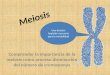 Meiosis Comprender la importancia de la meiosis como proceso disminución del número de cromosomas Una división haploide necesaria para la variabilidad