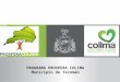 PROGRAMA PROSPERA COLIMA Municipio de Tecomán. El Gobierno del estado a través de la Secretaria de Desarrollo Social y en coordinación con los gobiernos
