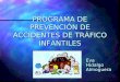 PROGRAMA DE PREVENCIÓN DE ACCIDENTES DE TRÁFICO INFANTILES Eva Hidalgo Almoguera