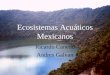 Ecosistemas Acuáticos Mexicanos Ricardo Canedo Andres Galvan