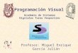Programación Visual Profesor: Miguel Enrique García Julián Academia de Sistemas Digitales Turno Vespertino