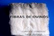 FIBRAS DE OVINOS CARLOS A. GONZALEZ DACAL MARIANA