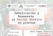 Señalización y Respuesta al Estrés Biótico en plantas Laura Campos Beneyto Doctorado en Biotecnología Directores: Mª Purificación Lisón Párraga Ismael