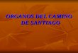 ORGANOS DEL CAMINO DE SANTIAGO. Belorado (Burgos) Convento de Santa Clara Convento de Santa Clara Autor: Francisco Antonio de San Juan 1785 Autor: Francisco