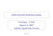 DELOITTE TRIBUTACION INTERNACIONAL Santiago – Chile Agosto 9, 2007 Adolfo Sepúlveda Zavala