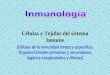 1 Células y Tejidos del sistema Inmune (Células de la inmunidad innata y específica; Órganos linfoides primarios y secundarios; órganos encapsulados y