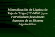 Mineralización de Lignina de Paja de Trigo ( 14 C-MWL) por Petriellidium fusoideum: Aspectos de su Sistema Ligninolítico