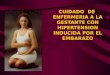 CUIDADO DE ENFERMERIA A LA GESTANTE CON HIPERTENSION INDUCIDA POR EL EMBARAZO