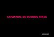 AUTOMATICO reediciones txike47 LAPACHOS DE BUENOS AIRES