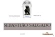PRODUCCIONES PRESENTA TANGO pablob. Sebastian Salgado nació en 1944, en el estado de Minas Gerais, Brasil. En 1968, obtuvo la maestría en Economía en