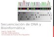 Secuenciación de DNA y Bioinformática José A. Cardé, PhD Lab Biol 3306-Genética Universidad de Puerto Rico-Aguadilla