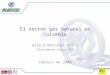 El sector gas natural en Colombia Astrid Martínez Ortíz Presidente Grupo EEB Febrero de 2008