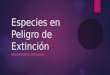 Especies en Peligro de Extinción BIODIVERSIDAD EN PELIGRO