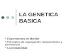 LA GENETICA BASICA Experimentos de Mendel Principios de segregación independiente y dominancia La probabilidad
