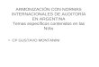 ARMONIZACIÓN CON NORMAS INTERNACIONALES DE AUDITORÍA EN ARGENTINA Temas específicos contenidos en las NIAs CP GUSTAVO MONTANINI