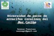 Diversidad de peces de arrecifes coralinos del Mar Caribe Tesista Doctorado Vanessa Francisco vanewagen@gmail.com