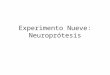 Experimento Nueve: Neuroprótesis. La mayoría de las neuronas en el cerebro y médula espinal de los mamíferos no vuelven a crecer al ser dañadas