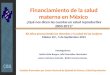 Unidad de financiamiento y cuentas en salud Financiamiento de la salud materna en México ¿Qué nos dicen las cuentas en salud reproductiva 2003-2011? XX