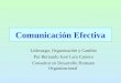 Comunicación Efectiva Liderazgo, Organización y Cambio Por Bernardo José Lara Carrero Consultor en Desarrollo Humano Organizacional
