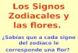 Los Signos Zodiacales y las flores. ¿Sabías que a cada signo del zodíaco le corresponde una flor?