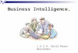 Business Intelligence. L.S.C.A. David Reyes Hernández