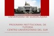 UNIVERSIDAD DE GUADALAJARA PROGRAMA INSTITUCIONAL DE TUTORÍA CENTRO UNIVERSITARIO DEL SUR
