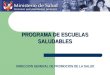 PROGRAMA DE ESCUELAS SALUDABLES DIRECCION GENERAL DE PROMOCION DE LA SALUD
