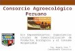 Consorcio Agroecológico Peruano Eco Emprendimientos: Experiencias Locales de Comercialización de Productos Ecológicos y el Consumo Responsable Ing. Angelo