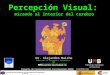 Dr. Alejandro Maiche Alejandro.Maiche@uab.es Laboratori de Percepció i Psicofisica, UAB  Percepción Visual: mirando al interior