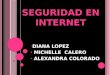 DIANA LOPEZ MICHELLE CALERO ALEXANDRA COLORADO. 1. Concepto de Seguridad en internet 2. ¿Cómo garantizar la seguridad en internet? 3. La seguridad en