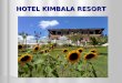 HOTEL KIMBALA RESORT. OFERTA DE SERVICIOS El Hotel ofrece un paquete completo de servicios como: 1. Hospedaje 2. Alimentos y Bebidas: Restaurante todos