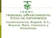 C.B.B.M.C.A. TRIBUNAL DEPARTAMENTAL ETICO DE ENFERMERIA DE CBBMCA