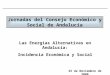 Jornadas del Consejo Económico y Social de Andalucía 25 de Noviembre de 2008 Las Energías Alternativas en Andalucía: Incidencia Económica y Social