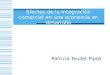 Efectos de la integración comercial en una economía en desarrollo Patricia Teullet Pipoli