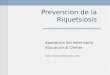 Prevencion de la Riquetsiosis Aportacion del Veterinario Educacion al Cliente Casos Clinicos Veterinarios 2011
