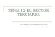 TEMA 12-EL SECTOR TERCIARIO. IES FRANCÉS DE ARANDA 2013-2014