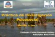 UNIVERSIDAD DE LA CUENCA DEL PLATA FACULTAD DE CIENCIAS SOCIALES LICENCIATURA EN PSICOLOGIA SEDE FORMOSA